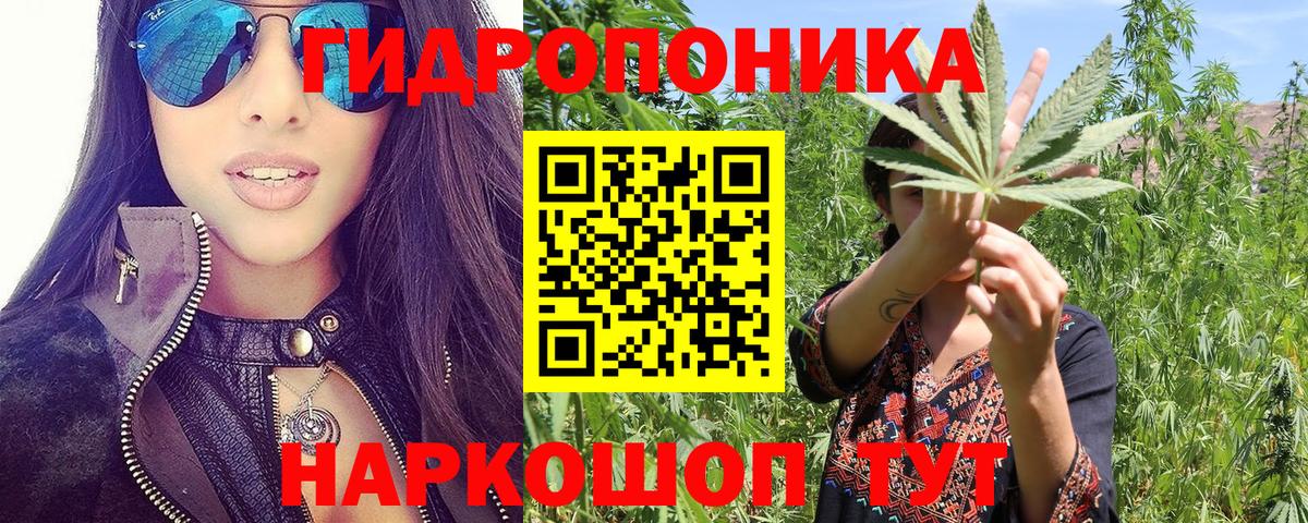 Бошки марихуана ГИДРОПОН  Бошки марихуана White Widow  Южноуральск  Вход с VPN  МАРИХУАНА индика 
